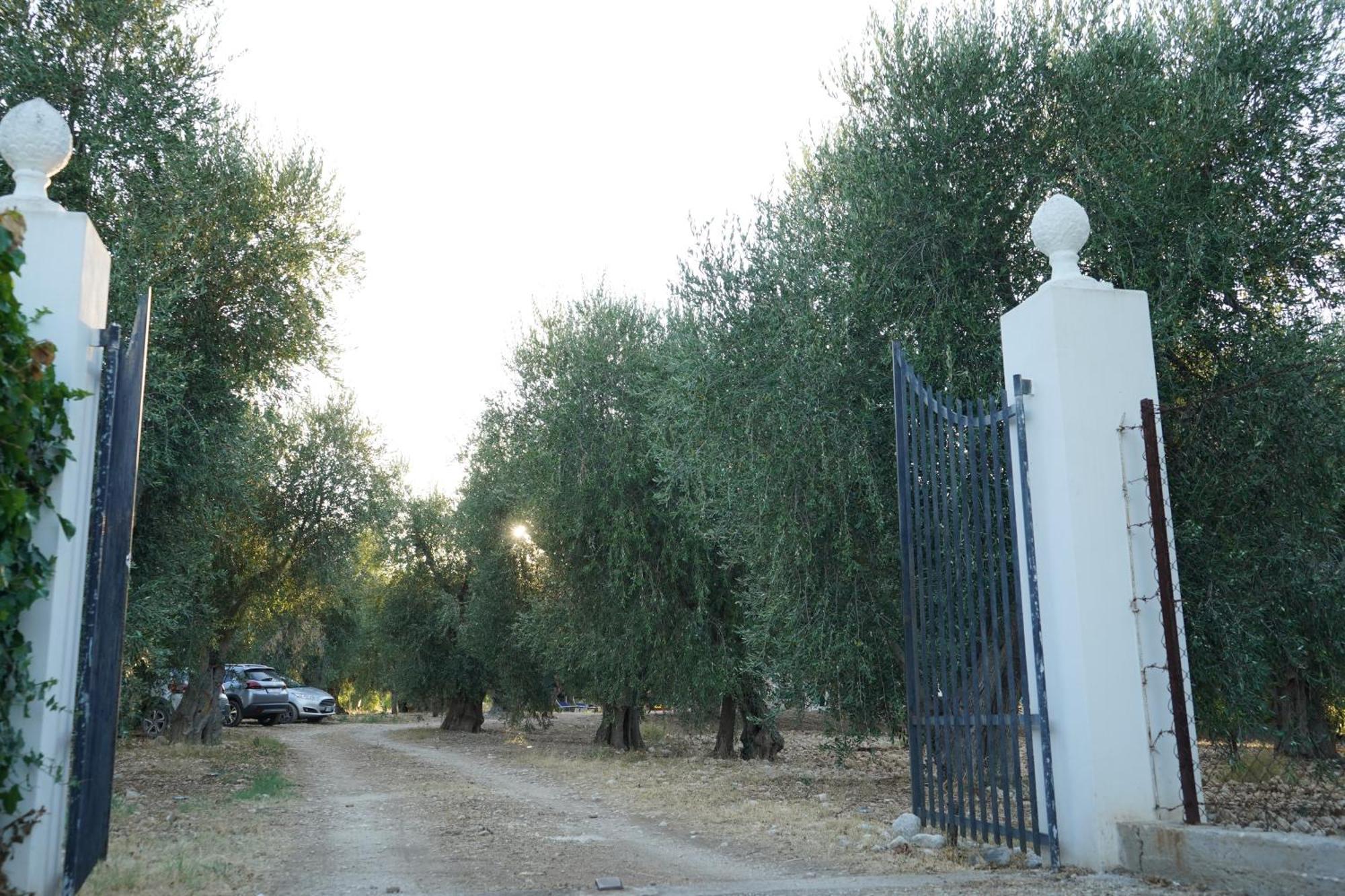 Сasa de vacaciones Olive&sea Villa-olive *