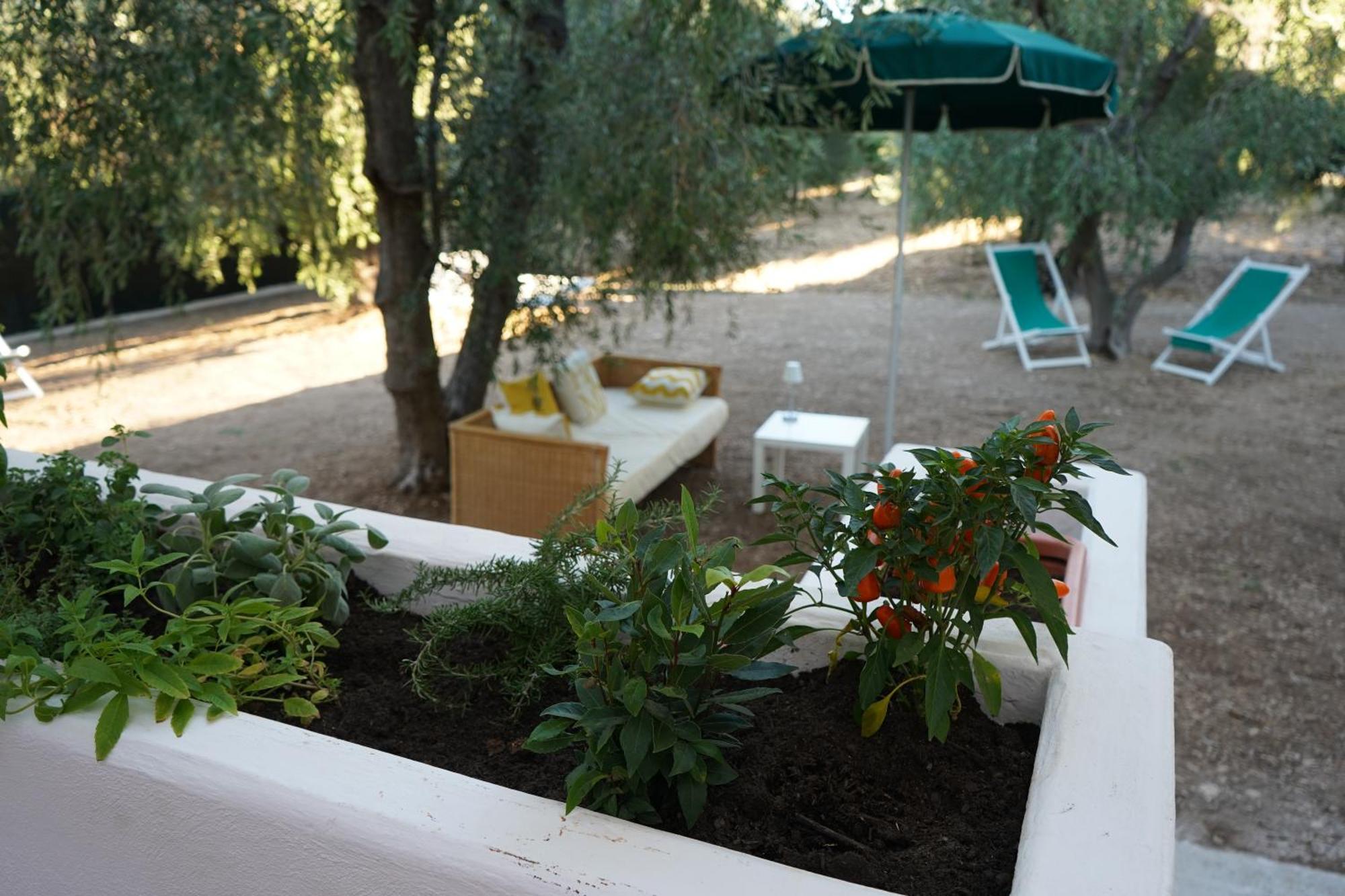Сasa de vacaciones Olive&sea Villa-olive *