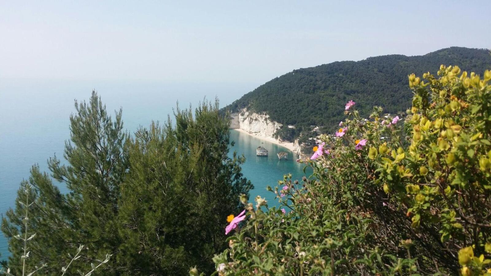 Olive&sea Villa-olive