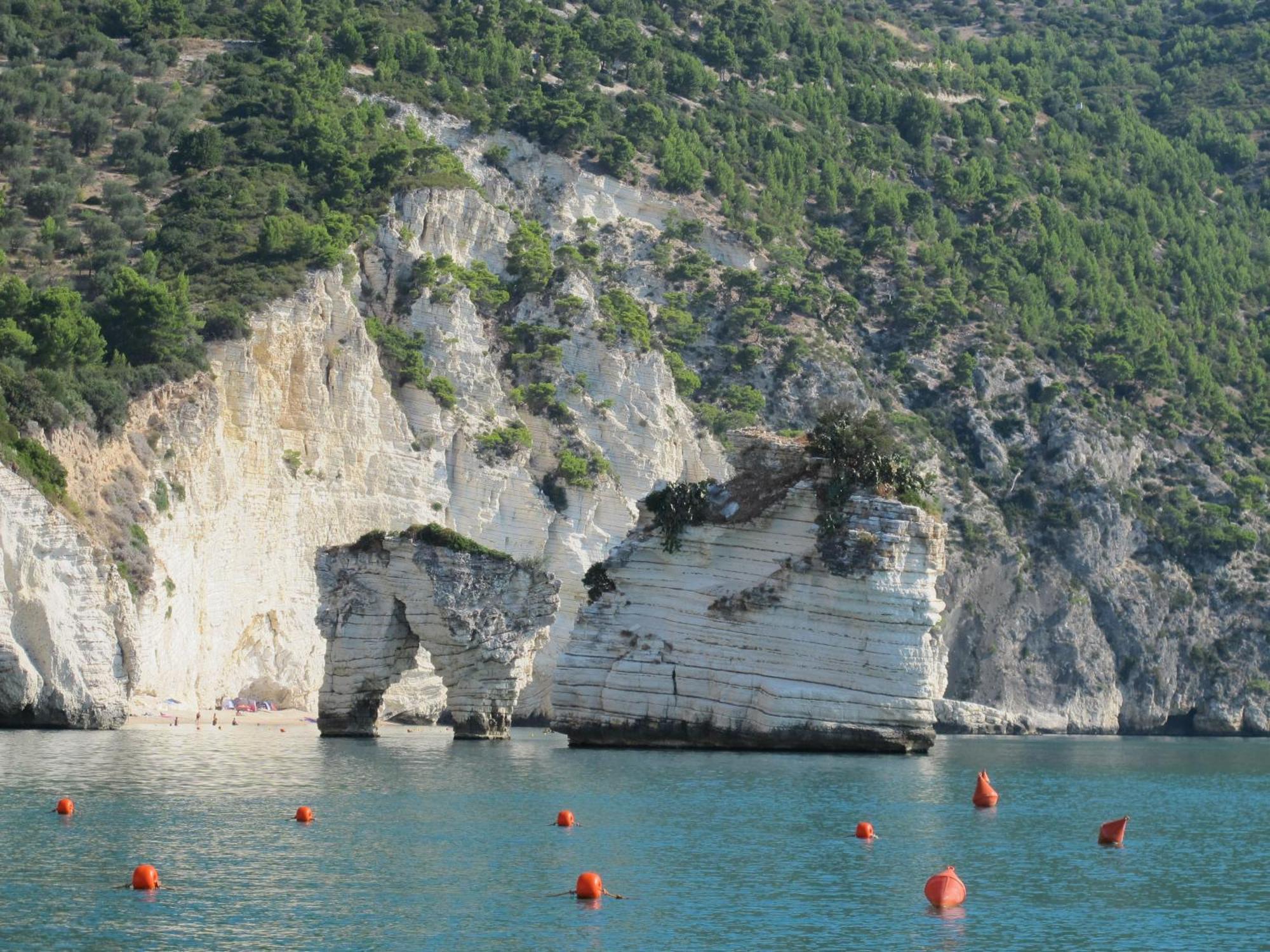 Holiday home Olive&sea Villa-olive