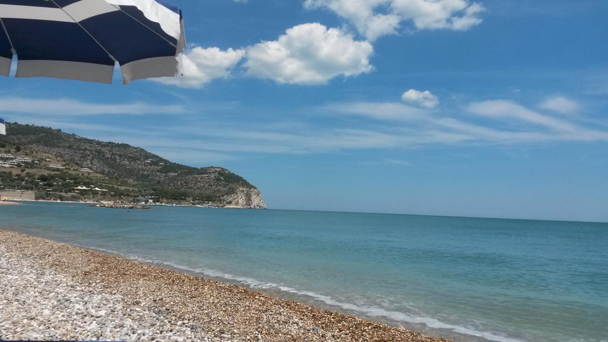 Holiday home Olive&sea Villa-olive