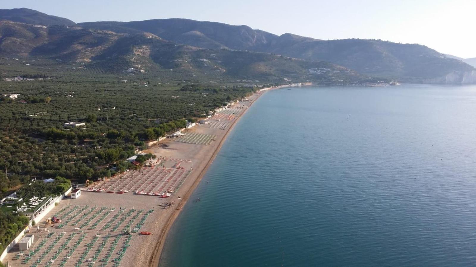 Olive&sea Villa-olive Mattinata
