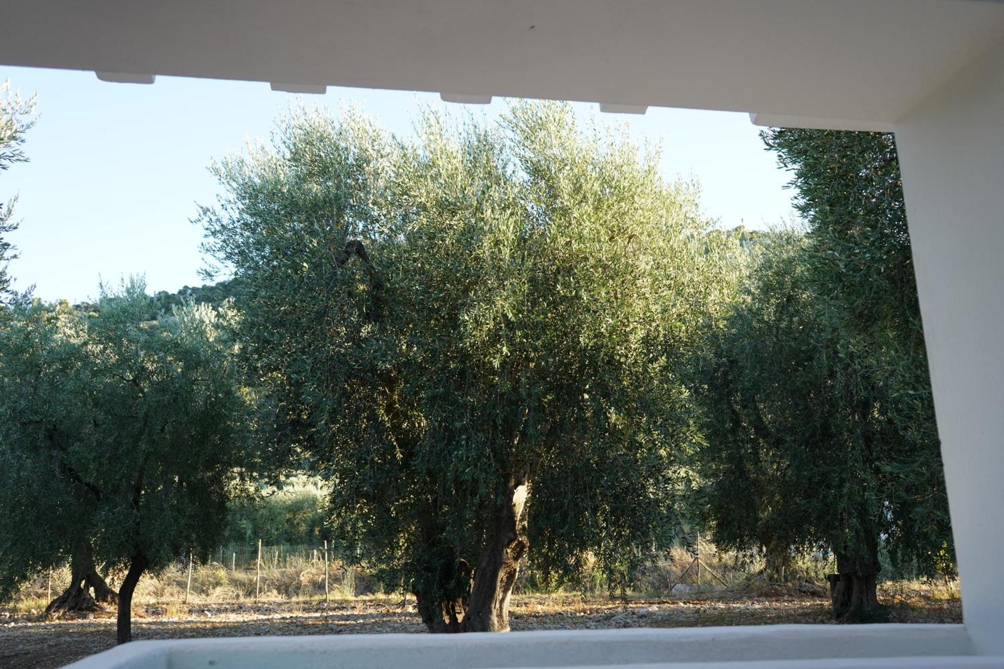 Holiday home Olive&sea Villa-olive Mattinata
