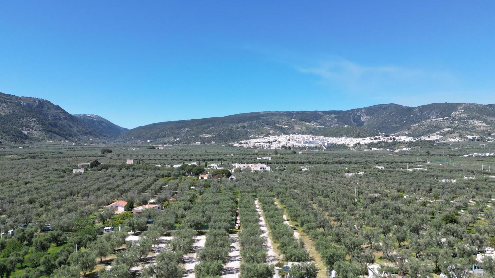 Olive&sea Villa-olive Holiday home Mattinata