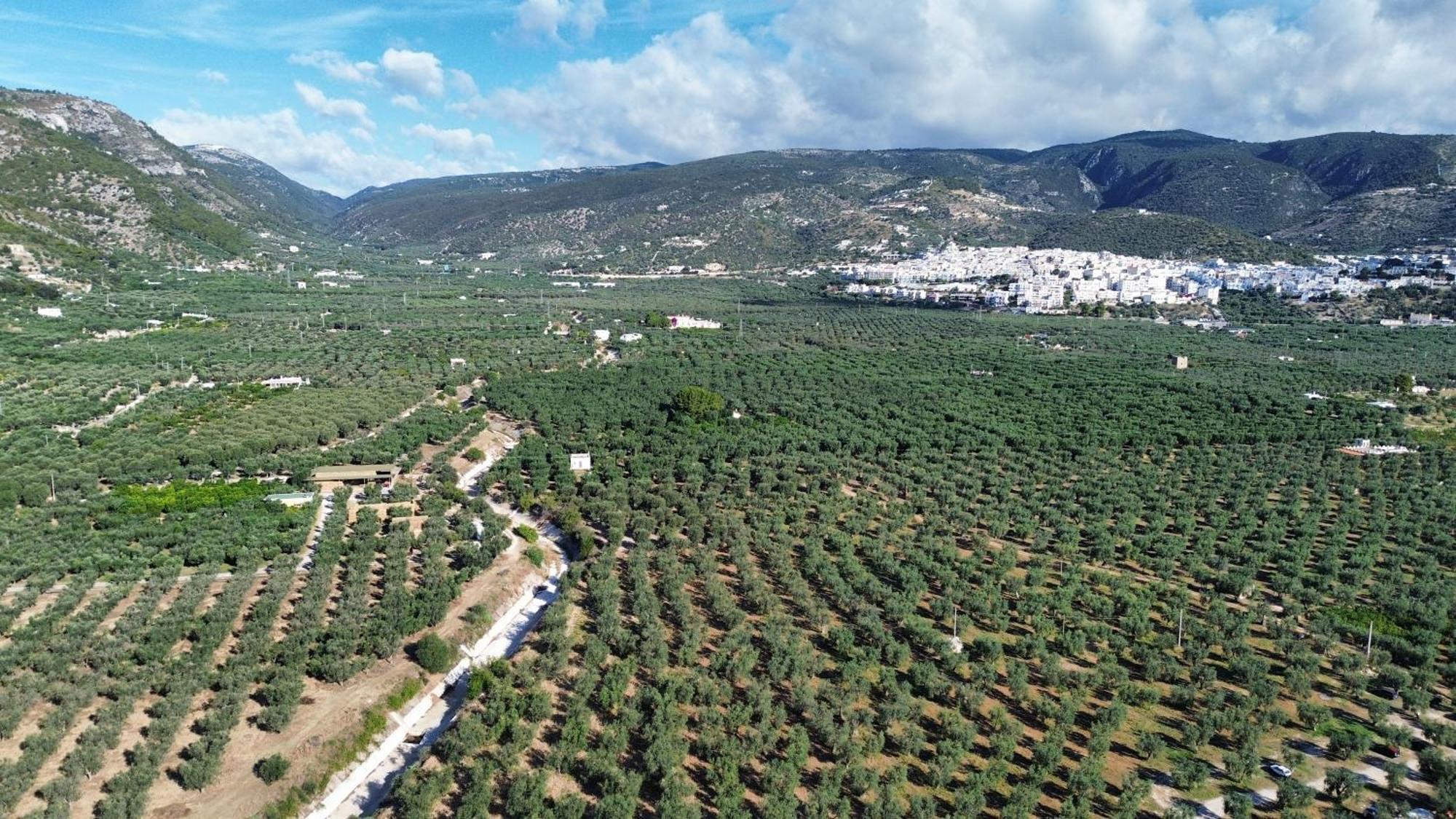 Olive&sea Villa-olive Mattinata